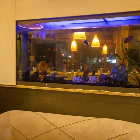 Otel Turunç Dream Muğla